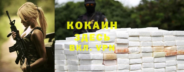 бошки Краснослободск