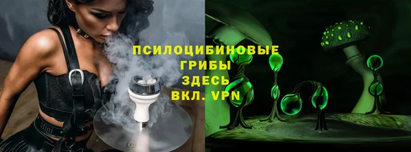 бошки Краснослободск