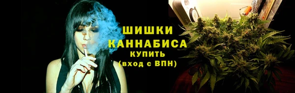 бошки Краснослободск