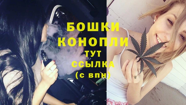 бошки Краснослободск